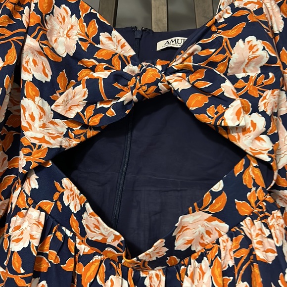 Amur - Picture 12 of 14